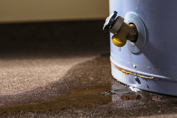 Best Water damage contractors near me  in Portage, IN