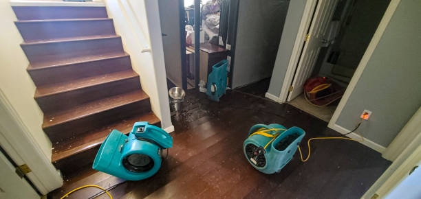 Best Local water damage restoration  in Portage, IN