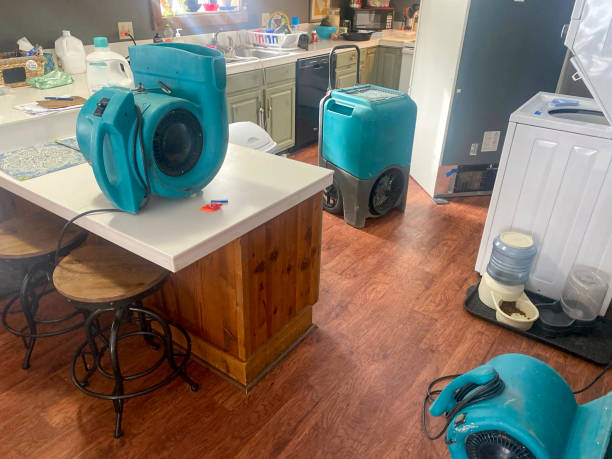 Best Emergency water damage restoration  in Portage, IN