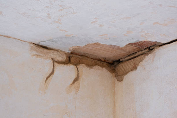 Best Water damage restoration insurance claims  in Portage, IN