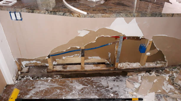 Best Water damage cleanup near me  in Portage, IN