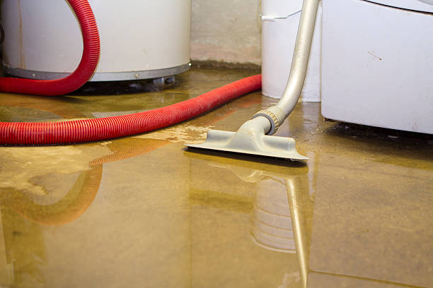 Best Basement water damage restoration  in Portage, IN