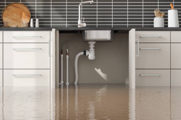 Water damage restoration insurance claims in IN