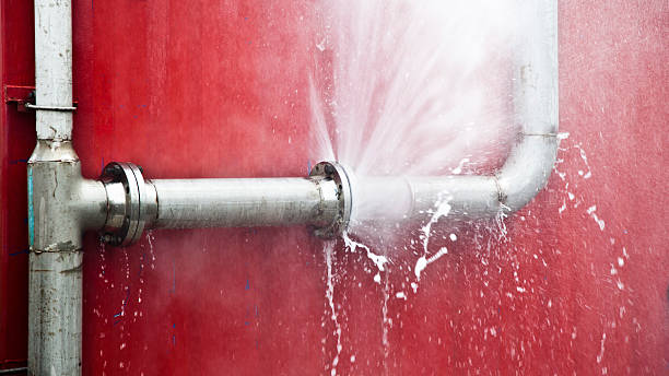 Best 24/7 water damage repair  in Portage, IN